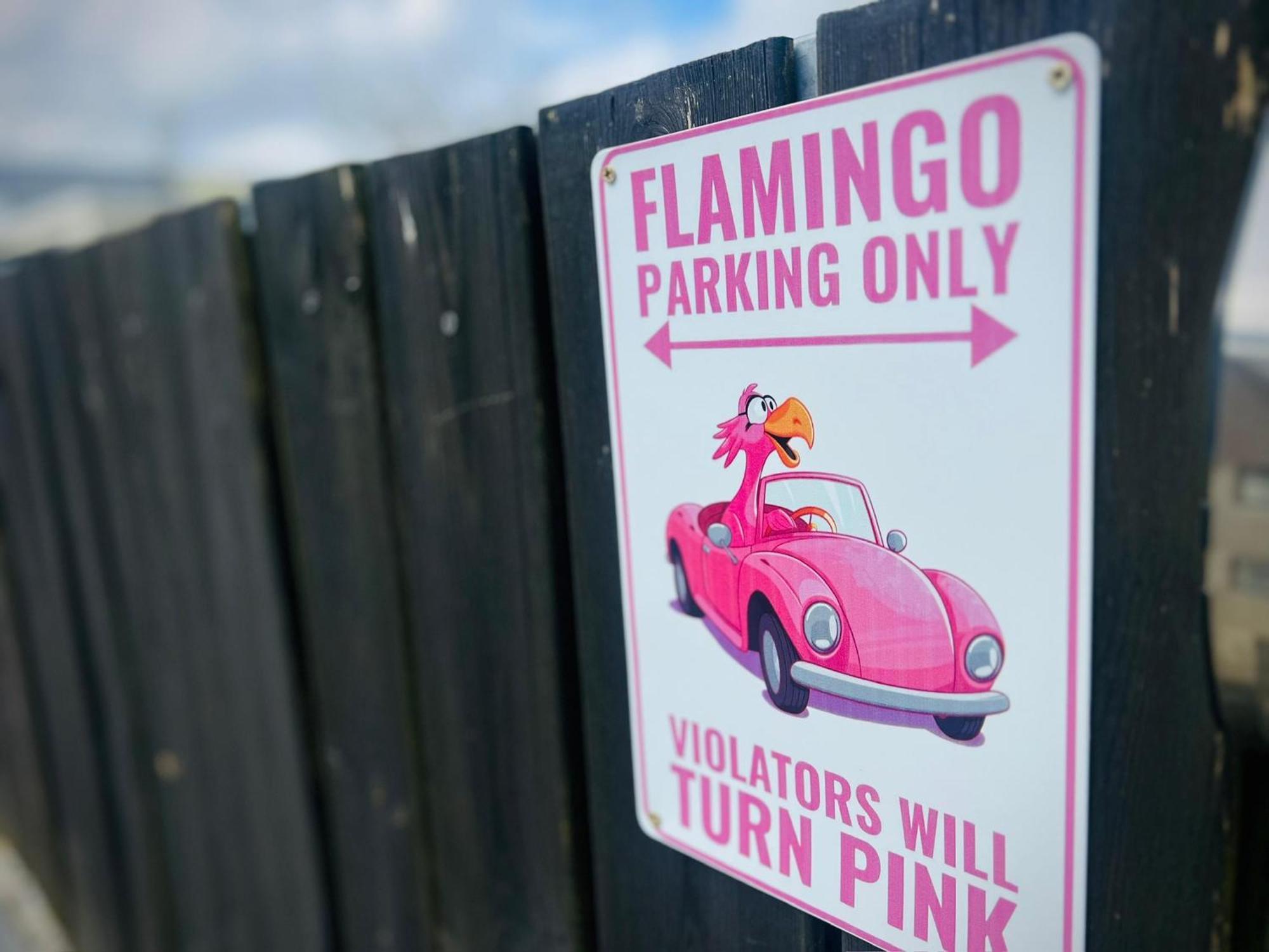 Flamingo Studio'S Zeeland Schoondijke Exteriér fotografie