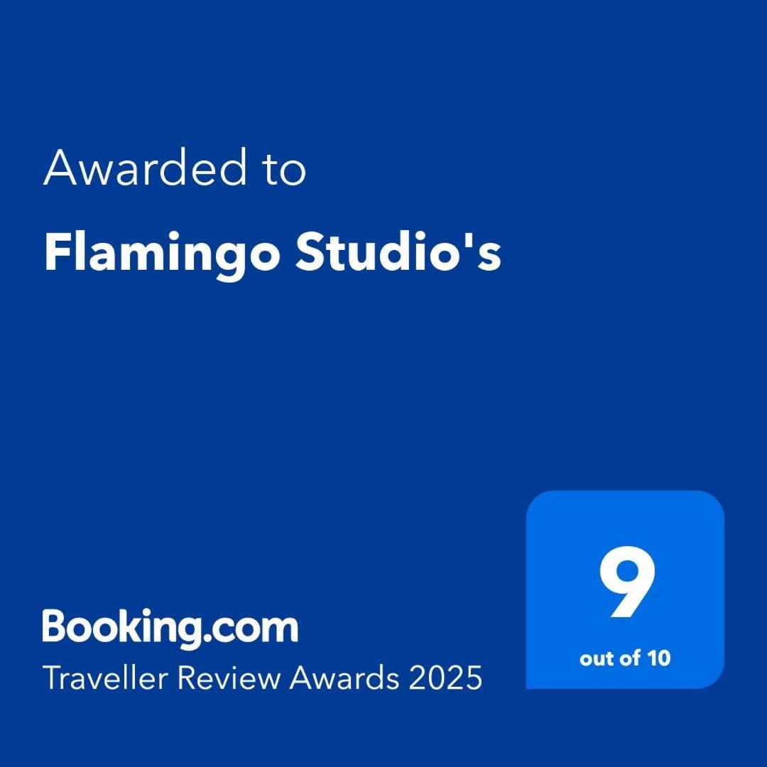 Flamingo Studio'S Zeeland Schoondijke Exteriér fotografie